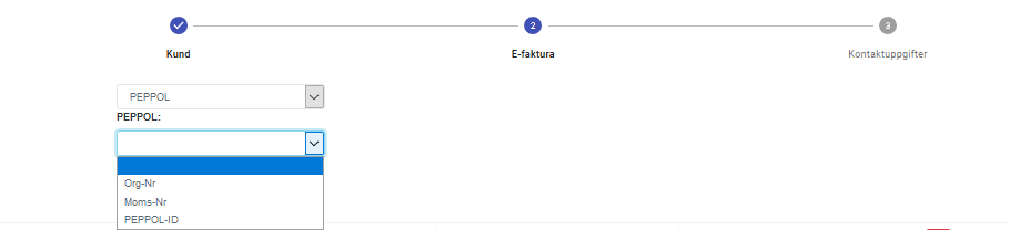 Visbok - Bokföringsprogram